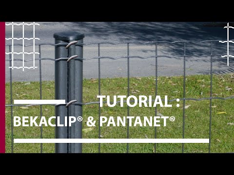 download lagu mp3 mp4 Pantanet, download lagu Pantanet gratis, unduh video klip Pantanet