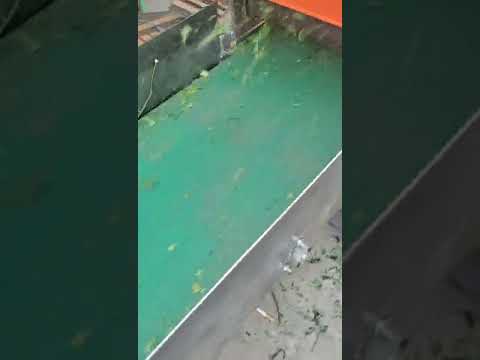 Multifunctional wormwood defoliation machine wet dry defoliation machine steam and leaf separator