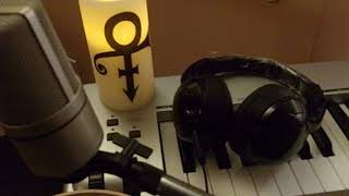 Dolphin - Prince Cover (2017)