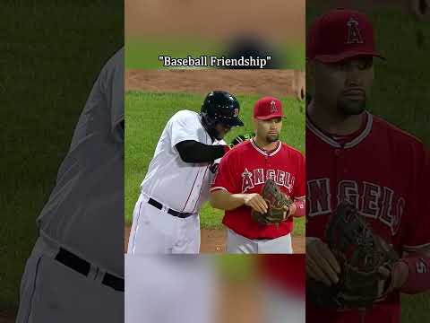 MLB’s Sweetest Friendship Moments ⚾❤️ #MLB #Baseball #MLBMoments #SportsFriendship #fyp