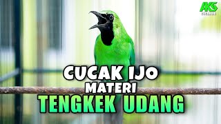 Download lagu PANCINGAN CUCAK IJO MATERI TENGKEK UDANG BIKIN IJO LAIN EMOSI CEPAT ON MUDAH JAMTROK NEMBAK ISIAN mp3