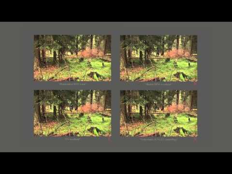 PHANTOMLEAF Flecktarn Woodland B5 vs Netherland JUNGLE Camouflage US woodland British DPM woodland