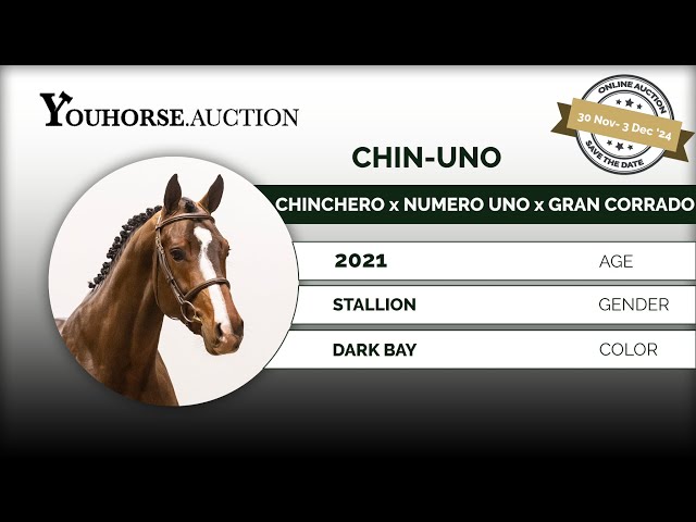Chin-Uno