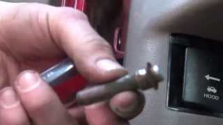 Replacing Door Hinge Pin