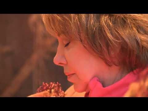 1. WHAT IS CENTERING PRAYER? Centering Prayer Overview