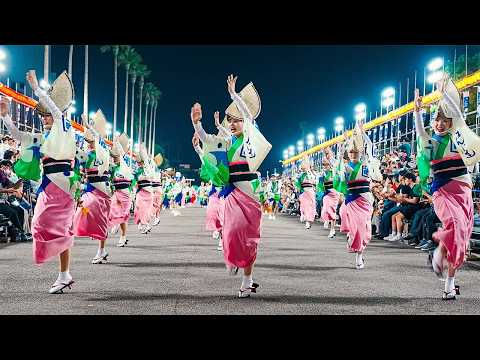 Japan's Traditional Dance Festival Awa Odori | 2024 Awaodori in Tokushima