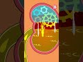 How Is Urine Produced In Our Body Shorts Pee Urinarysystem Drbinocsshow Bodyfunctions