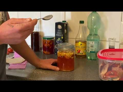 Microdosing mit Fliegenpilz,Ambrosia und andere Tinkturen 🍻😎SAPERE AUDE