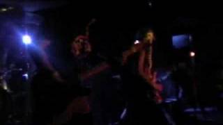 The Falcon - The Celebutard Chronicles