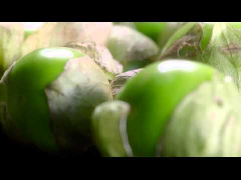 Swanson Taste Maker Joel Gamoran’s Flavorful Chicken Pozole Soup