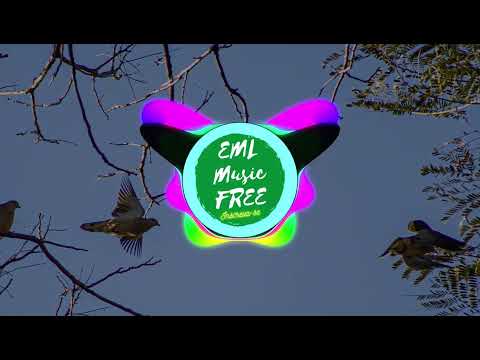 if found x nøll - die 4 u (feat. damnboy!) (ncs 2022)