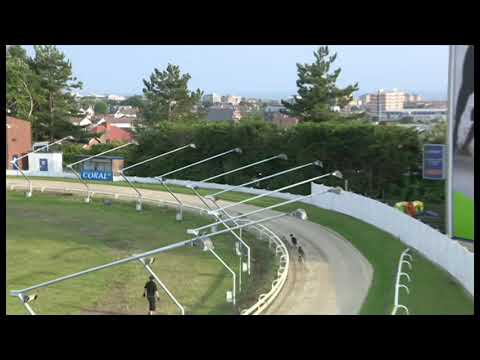 Bockos Doomie - Sussex Festival Puppies - Heat 1