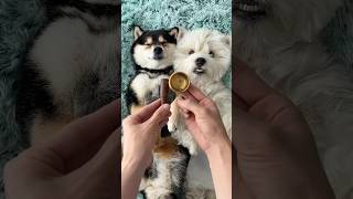 ASMR | Manyu & Bai | A Cozy Relaxing Daily Care Routine Together