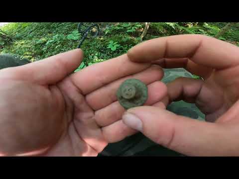 Wykopki wyprawa #98 Małopolskie lasy