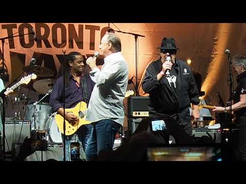 The Legendary Downchild Blues Band