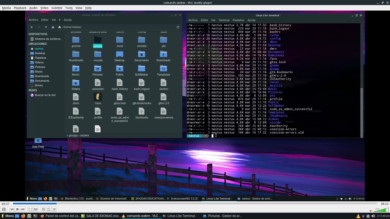 20 comandos Linux que todo usuario debe conocer | Parte 1 | Guía completa 2021