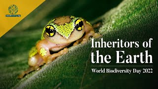 INTERNATIONAL DAY FOR BIODIVERSITY 2022