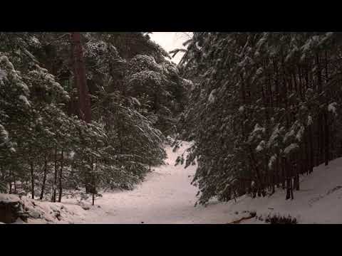 Crackling Snow On The Belgian Desert I Lommel I Belgium I Binaural Audio Sound