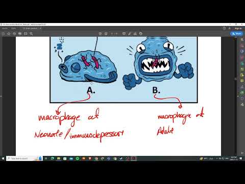 10. Gram positive Bacilli, lecture 10 microbiology