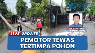 Diduga karena Cuaca Buruk, Pohon Sengon di Jalan Raya Plosoklaten-Gurah Tumbang Menewaskan Pemotor