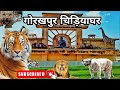 गोरखपुर चिड़ियाघर | Shaheed Ashfaq Ullah Khan Prani Udyaan Gorakhpur | Gorakhpur zoo |