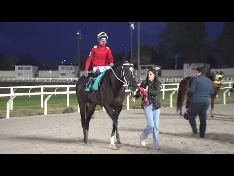 220625 c11 PAQUETONA