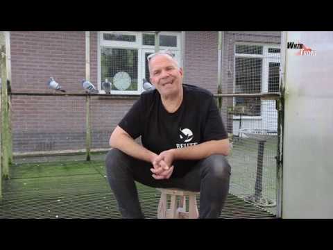 WHZB/TBOTB 2019 Winners - 1st Ace Middle Distance YB: Gert-Jan Beute, Wilhelminaoord (with Eng subs)