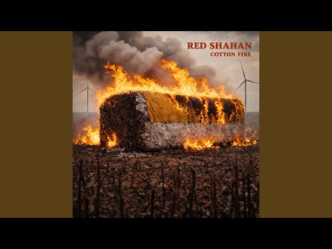 Cotton Fire - Red Shahan
