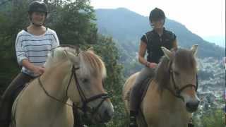 preview picture of video 'Horseback Riding Bergen Norway'