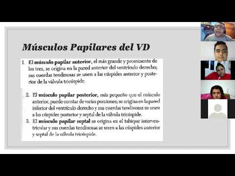 CLASE 31/10/2020 PODOLOGIA 1-A