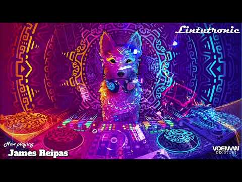 James Reipas live at Lintutronic 16.4.2021 - Psychedelic Techno