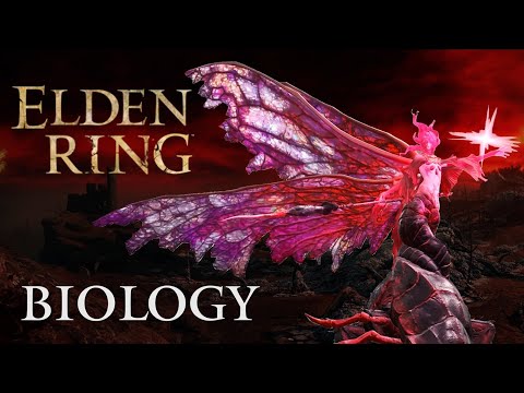 The Biology of Elden Ring | Scarlet Rot Symbiosis