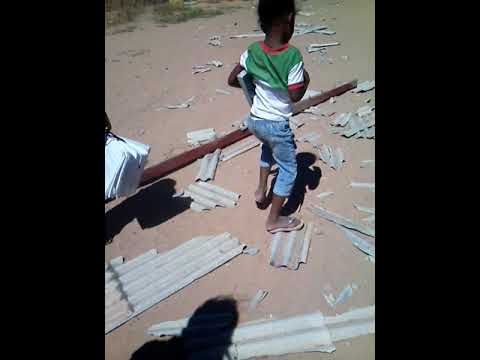 Vento forte video