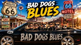Download lagu Bad Dog Blues — Boon Brothers Dog Gang! 😤🐶🔥 mp3