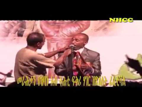 Best Eritrean guayla