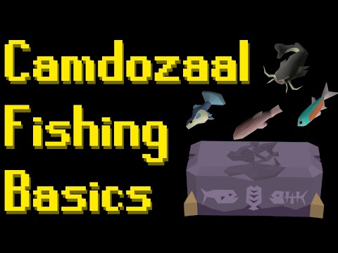 Basic Camdozaal Fishing Guide 2021 (OSRS)