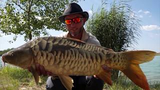 FEEDERMANIA - Vízfelszíni pontyozás feederbottal