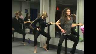 preview picture of video 'Fitness Barre Classes Harrington Park'