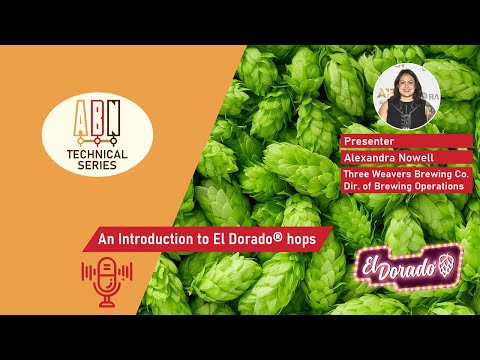 An Introduction to the El Dorado hop