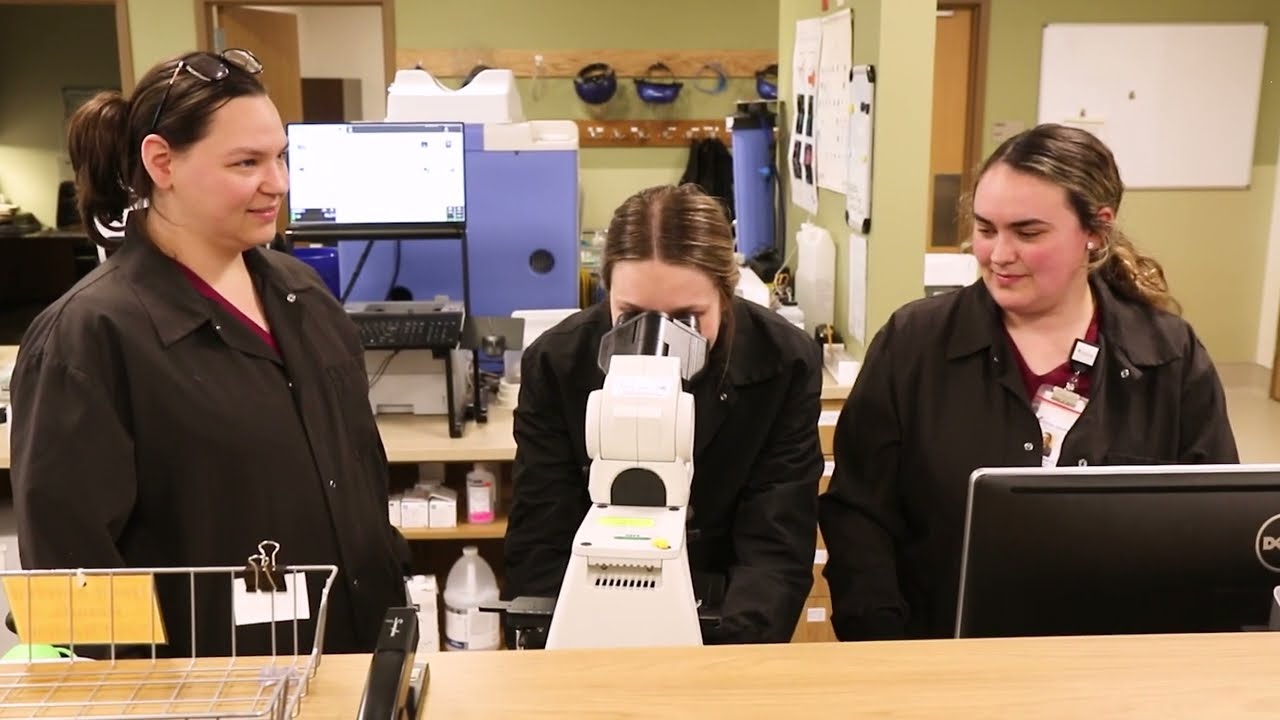Convenient Lab Services for our Community