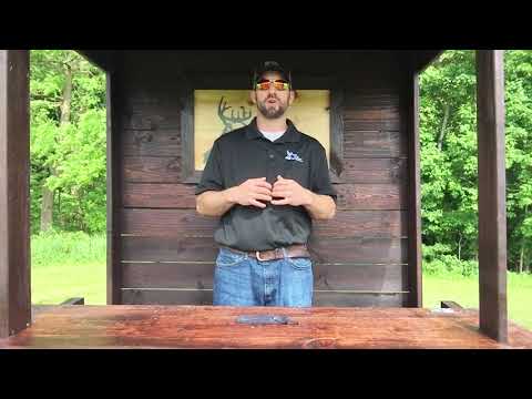 Shady Rays Sunglasses Review