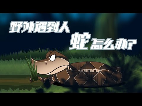 遇到蛇怎麼辦