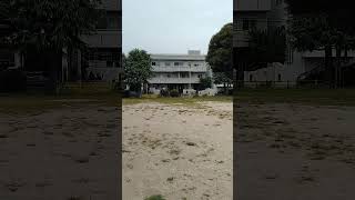 補助金と自民党の思惑 #高市政権 #n国 #利益団体