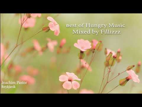 Best Of Hungry Music (Worakls, N'to, Joachim Pastor, Joris Delacroix, Oliver Schories,..)