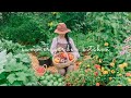 156 Summer Kitchen Cooking With What My Garden Gives Me Vietnamese Home Cooking ️