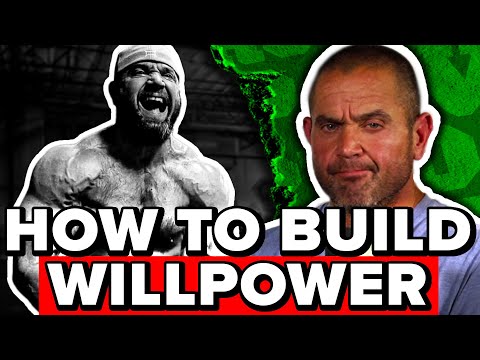 Do THIS To Increase Your Willpower