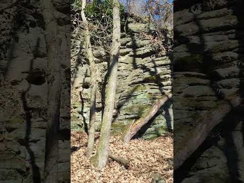 Fiľakovské skalky 351 mnm (Fiľakovo)