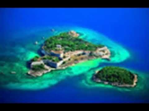 Hipnoza Regresiva 235 Steluta  Sinclar