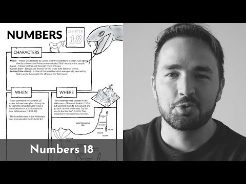 Numbers 18 Summary: A Concise Overview in 5 Minutes