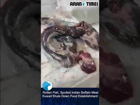 Rotten Fish, Spoiled Indian Buffalo Meat: Kuwait Shuts Down Food Establishment